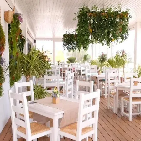 Lake View Summerland * Mamaia